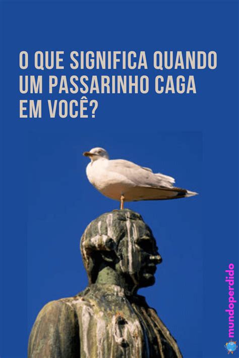 o que significa passarinho caga no ombro|O que significa quando passarinho caga na gente .
